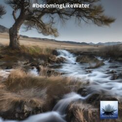 Calm waters,